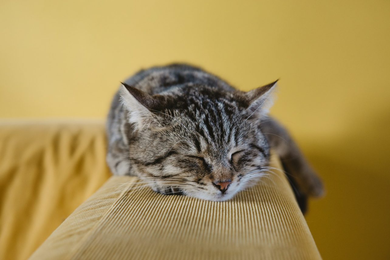 You Don’t Need to Skip Sleep to Be Successful at Work